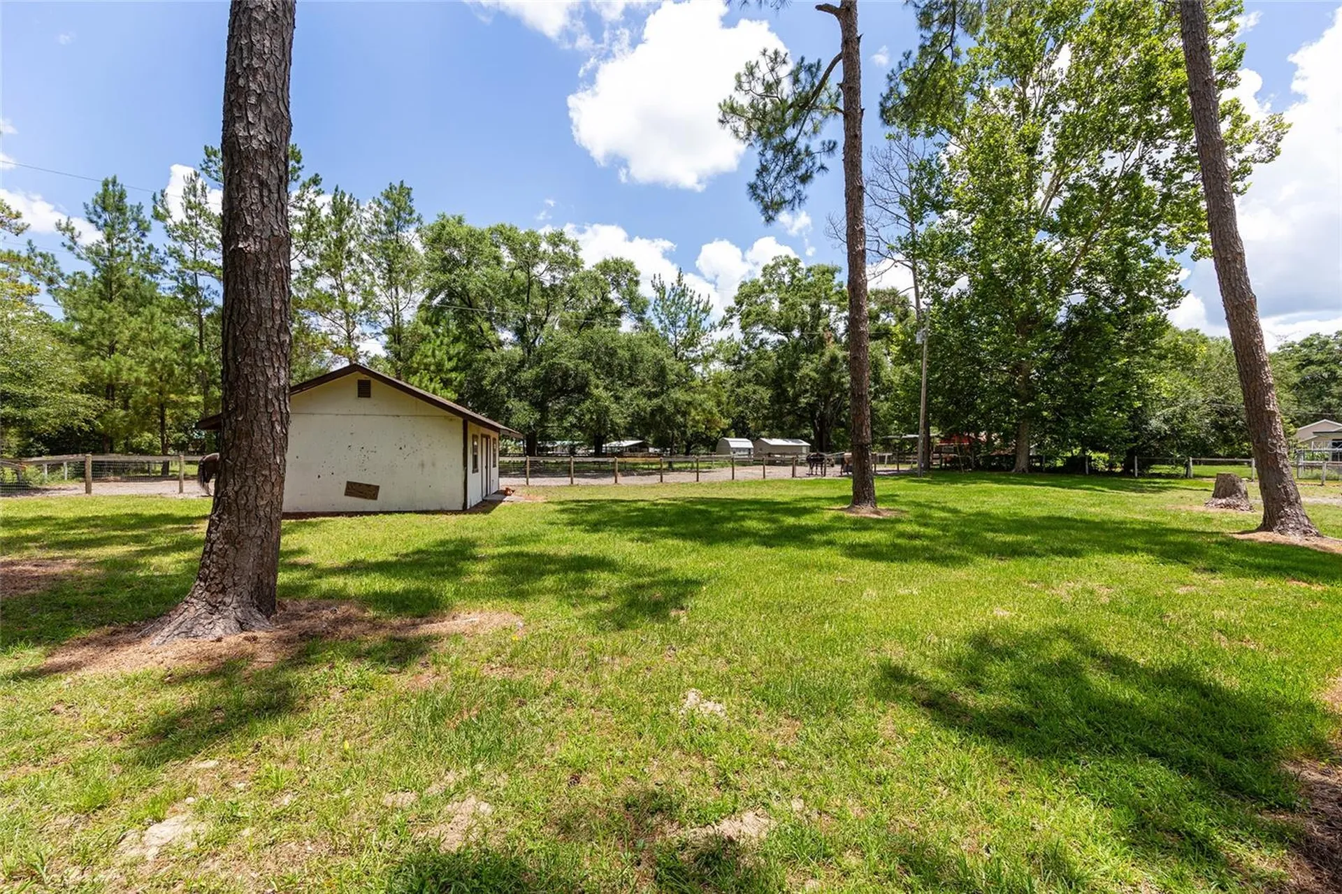 16353 NW 130 Street Williston FL 32696