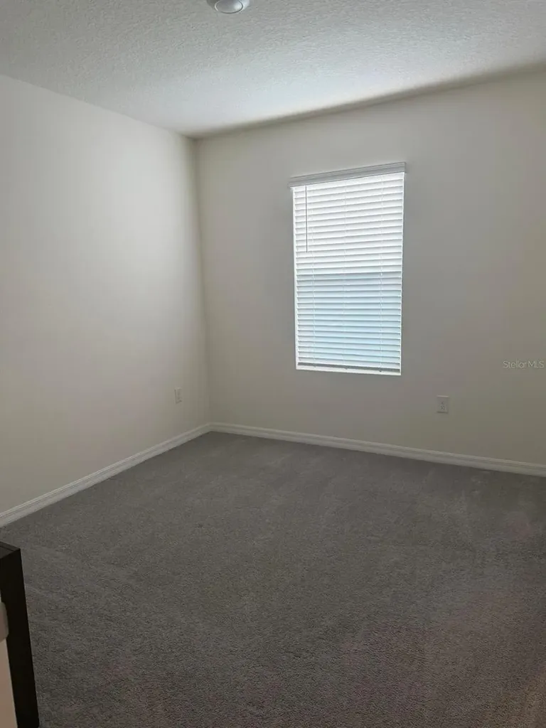 34272 Redwood Dawn Lane Wesley Chapel FL 33543