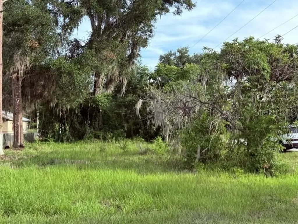 Cr 604 Bushnell FL 33513