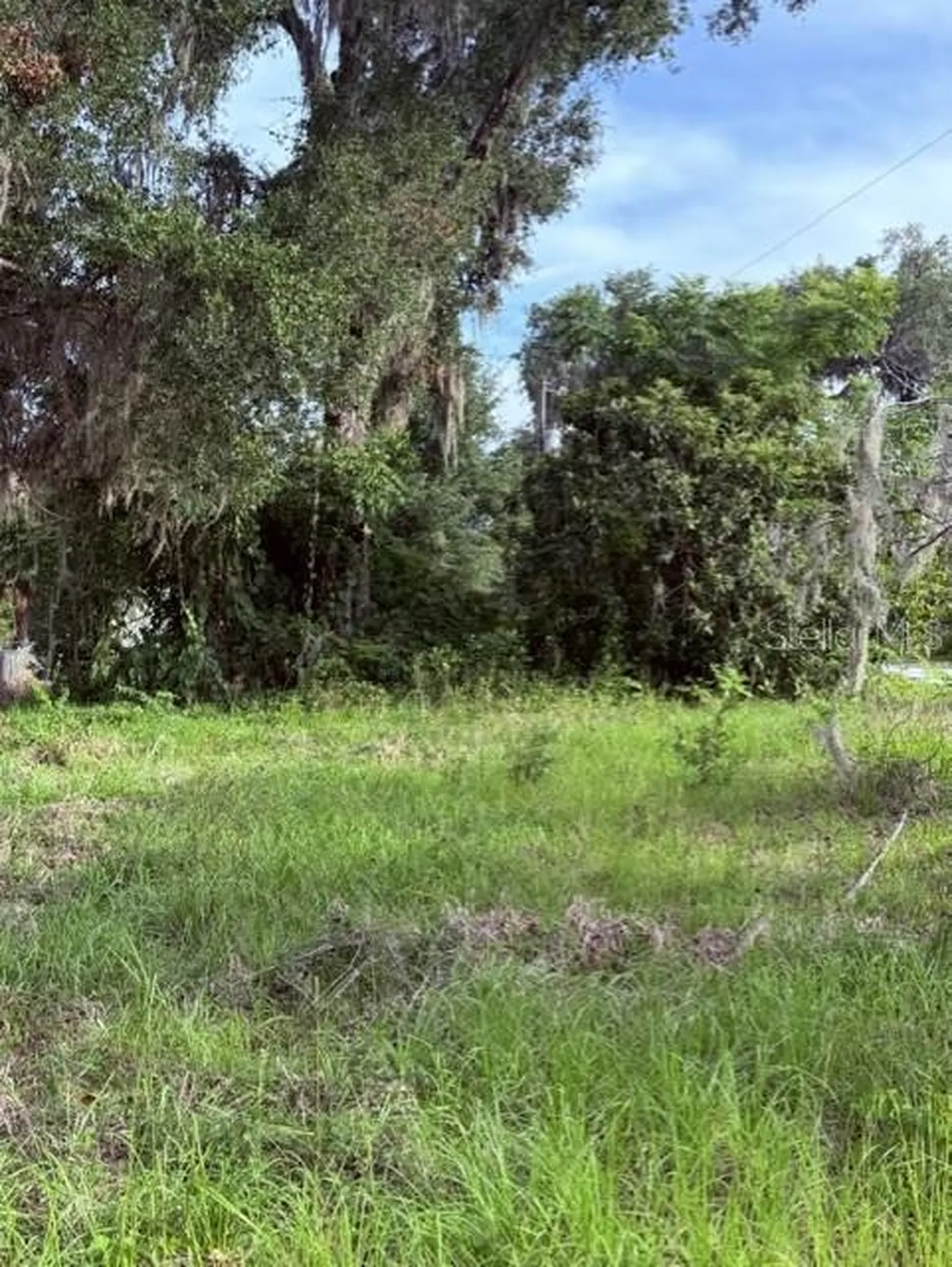 Cr 604 Bushnell FL 33513