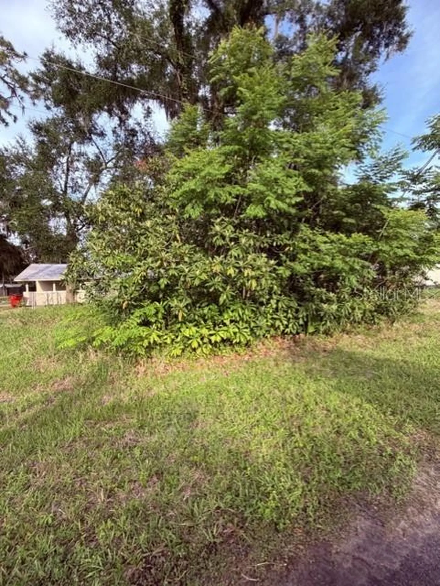Cr 604 Bushnell FL 33513