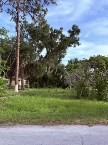 Cr 604 Bushnell FL 33513