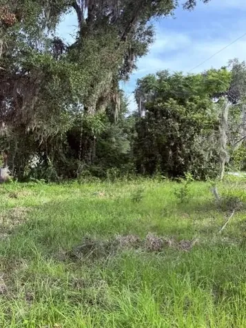 Cr 604 Bushnell FL 33513
