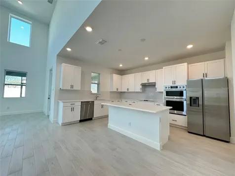 2193 Gold Dust Drive Minneola FL 34715