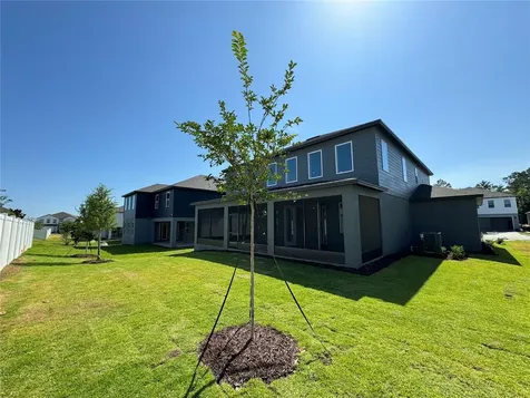 2193 Gold Dust Drive Minneola FL 34715