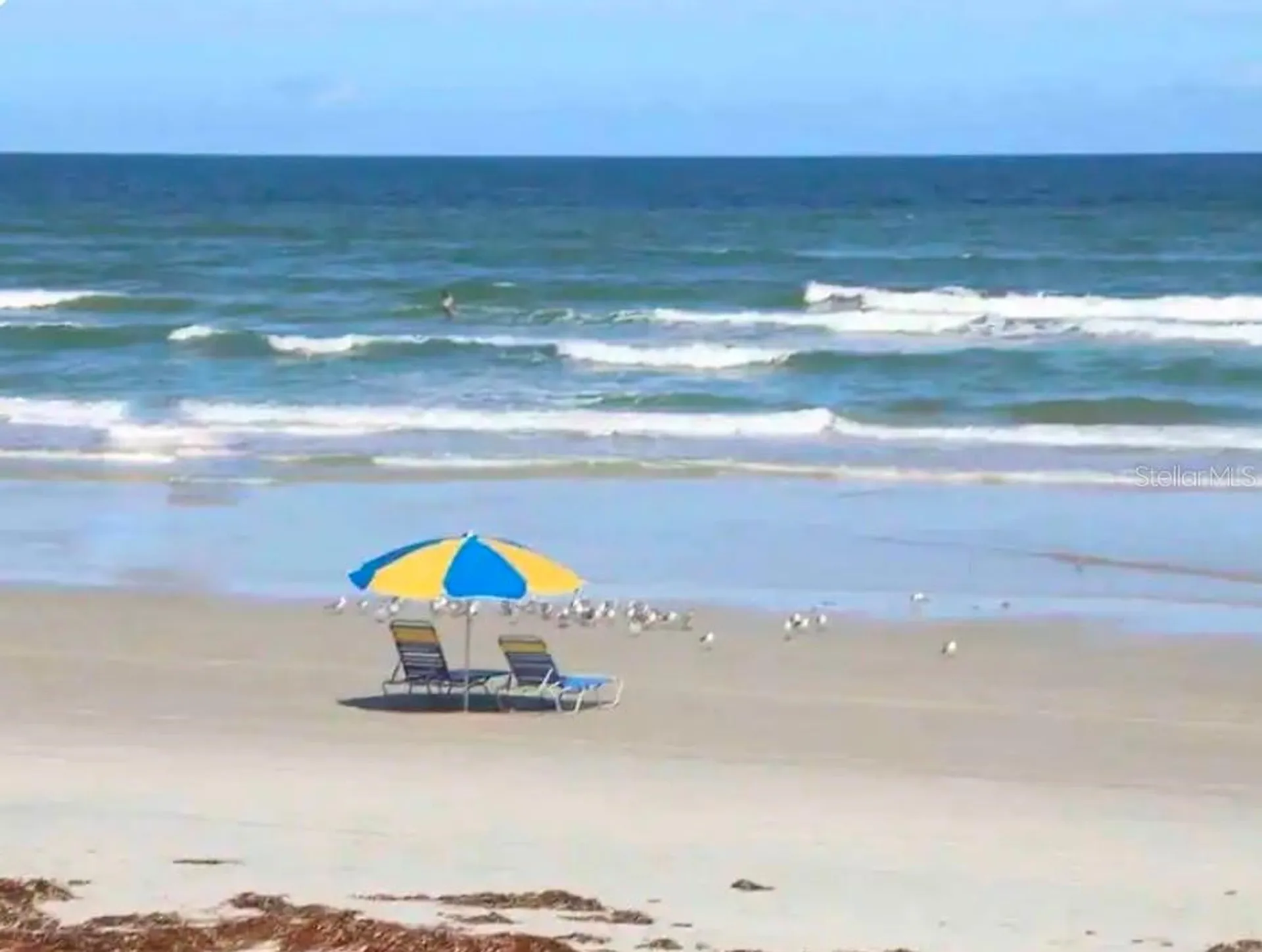 701 S Atlantic Avenue Daytona Beach FL 32118