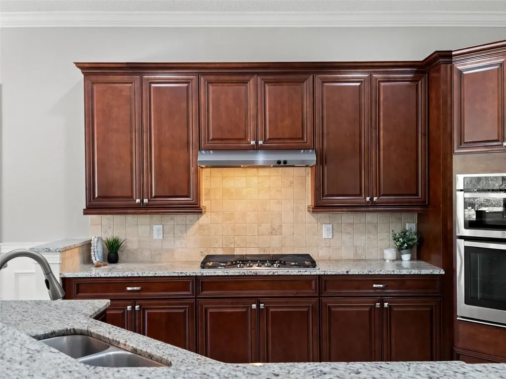 1045 Castle Pines Court Reunion FL 34747