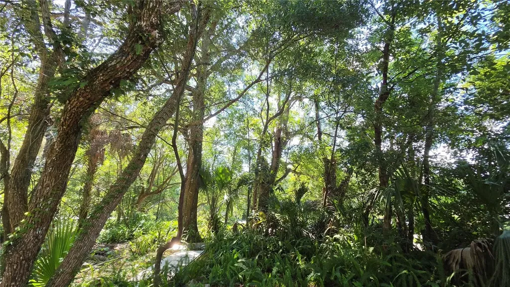 236 N Amelia Avenue Deland FL 32724