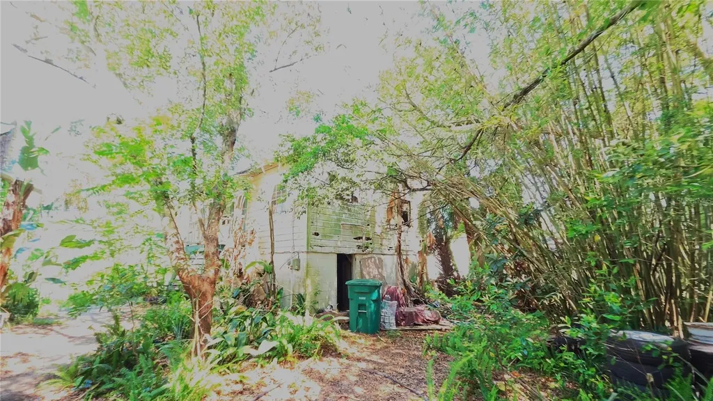 236 N Amelia Avenue Deland FL 32724