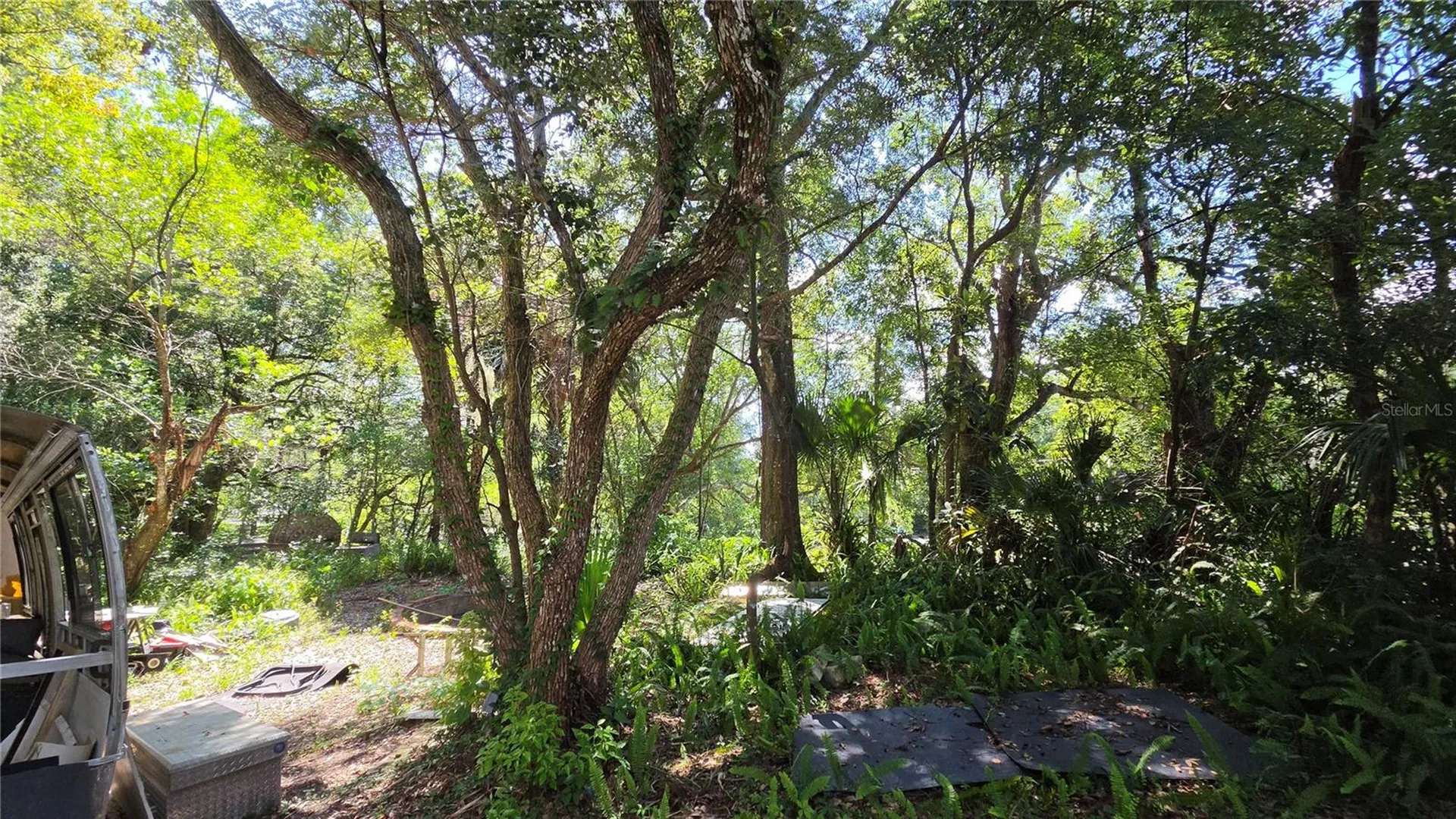 236 N Amelia Avenue Deland FL 32724