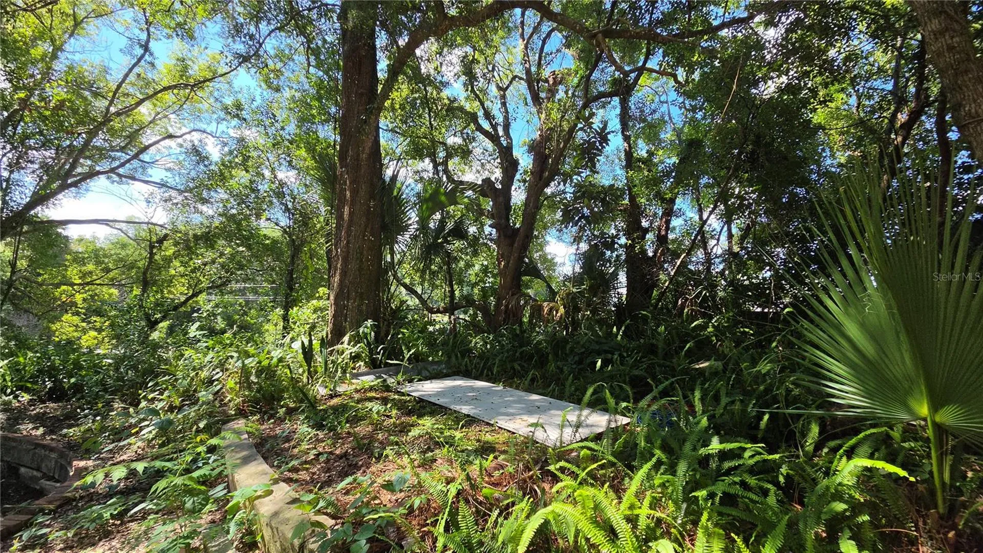 236 N Amelia Avenue Deland FL 32724