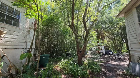 236 N Amelia Avenue Deland FL 32724