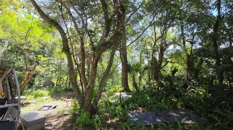 236 N Amelia Avenue Deland FL 32724