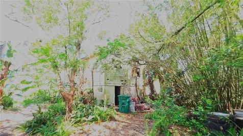 236 N Amelia Avenue Deland FL 32724