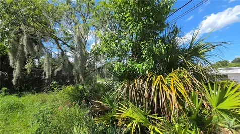 236 N Amelia Avenue Deland FL 32724