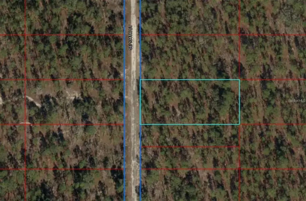 00 SW 134th Court Dunnellon FL 34431