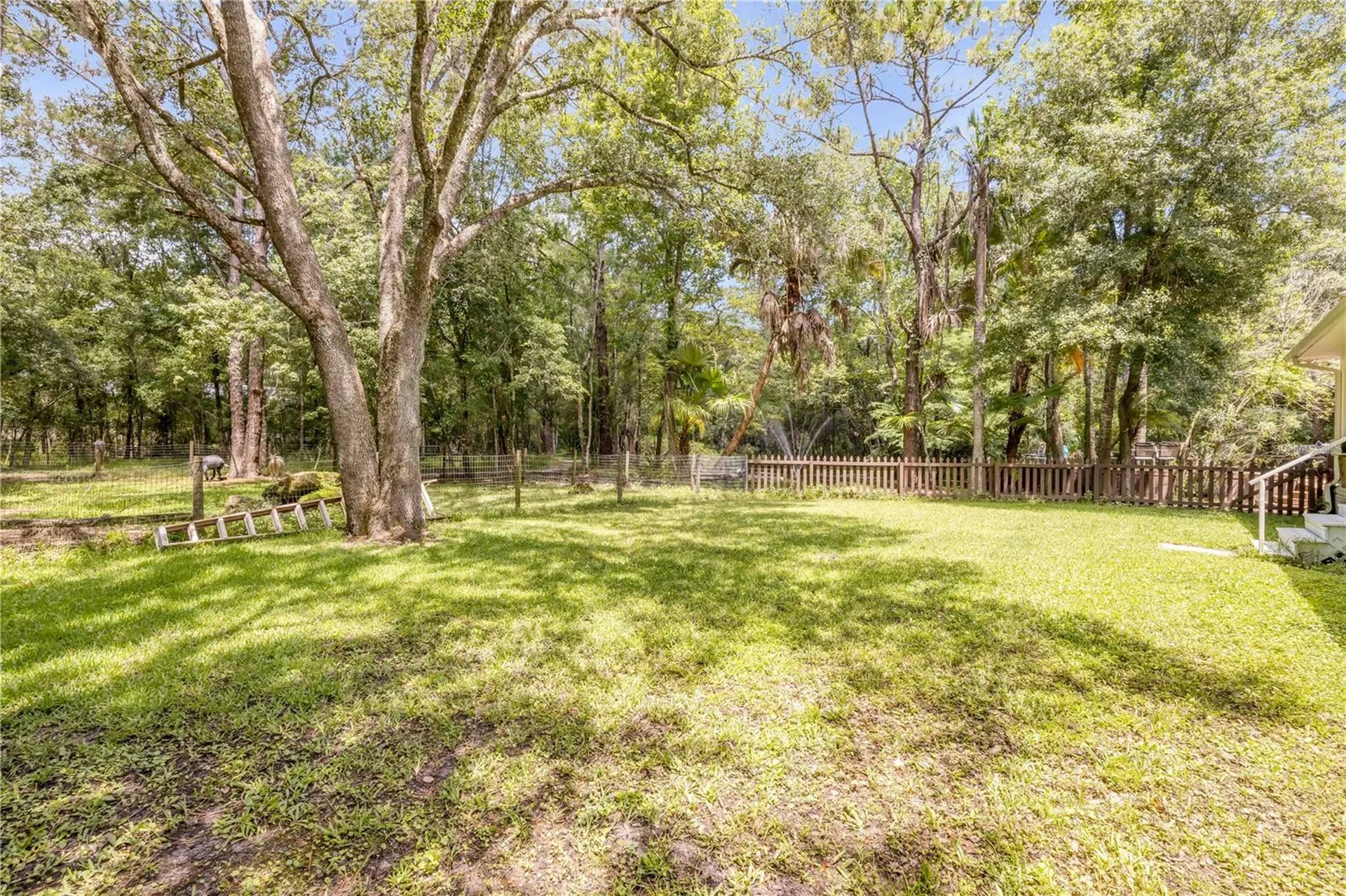 227 N Samsula Drive New Smyrna Beach FL 32168