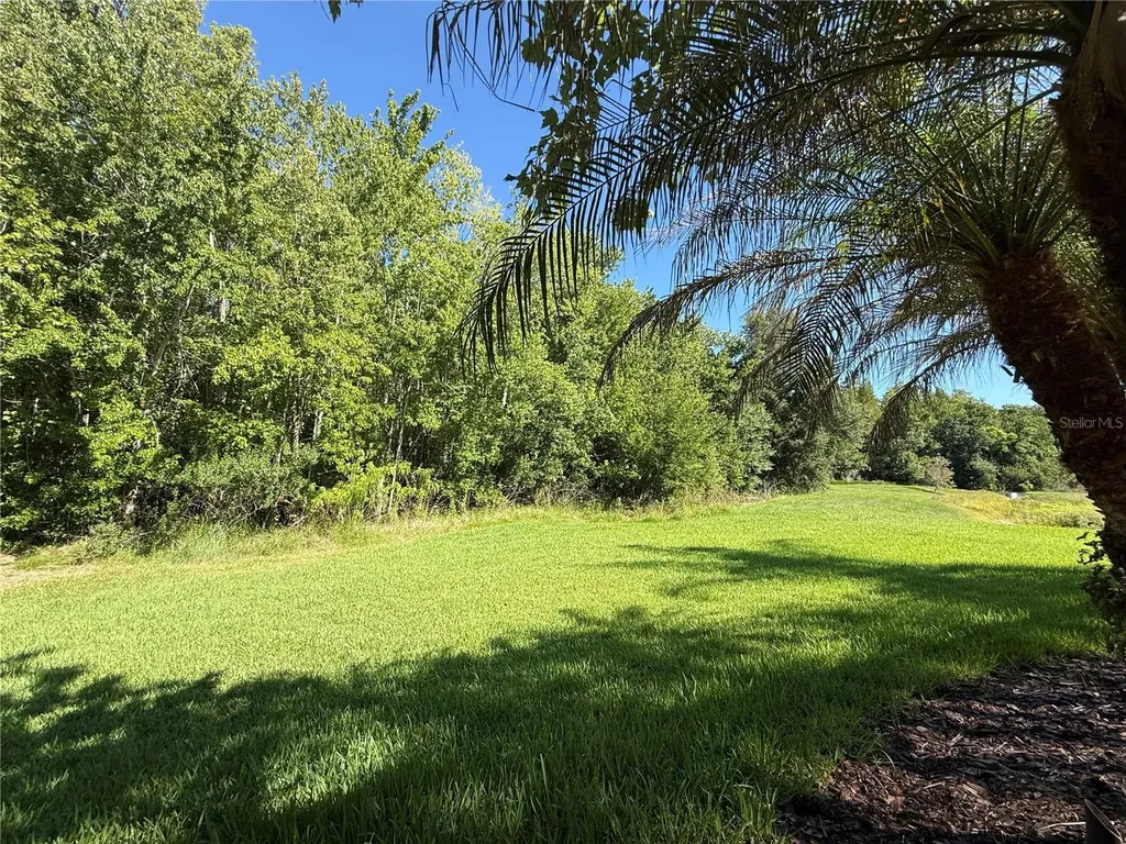 4557 Vermillion Sky Drive Wesley Chapel FL 33544