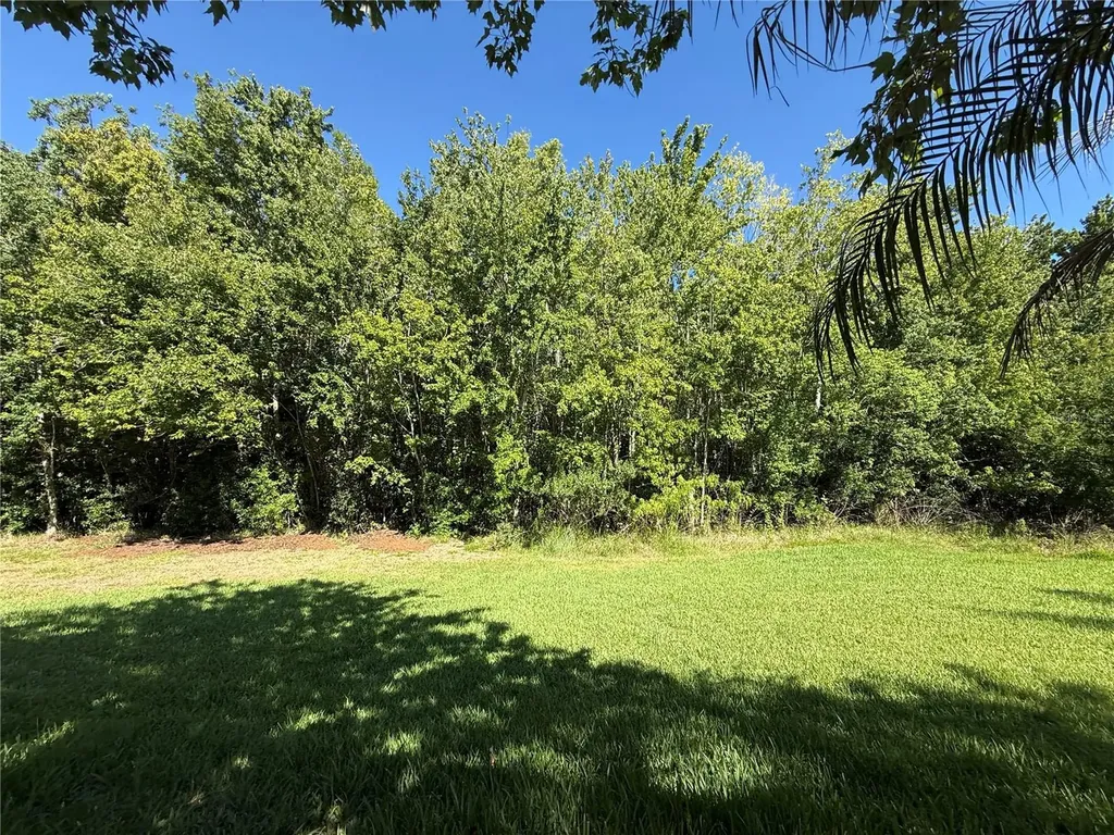 4557 Vermillion Sky Drive Wesley Chapel FL 33544