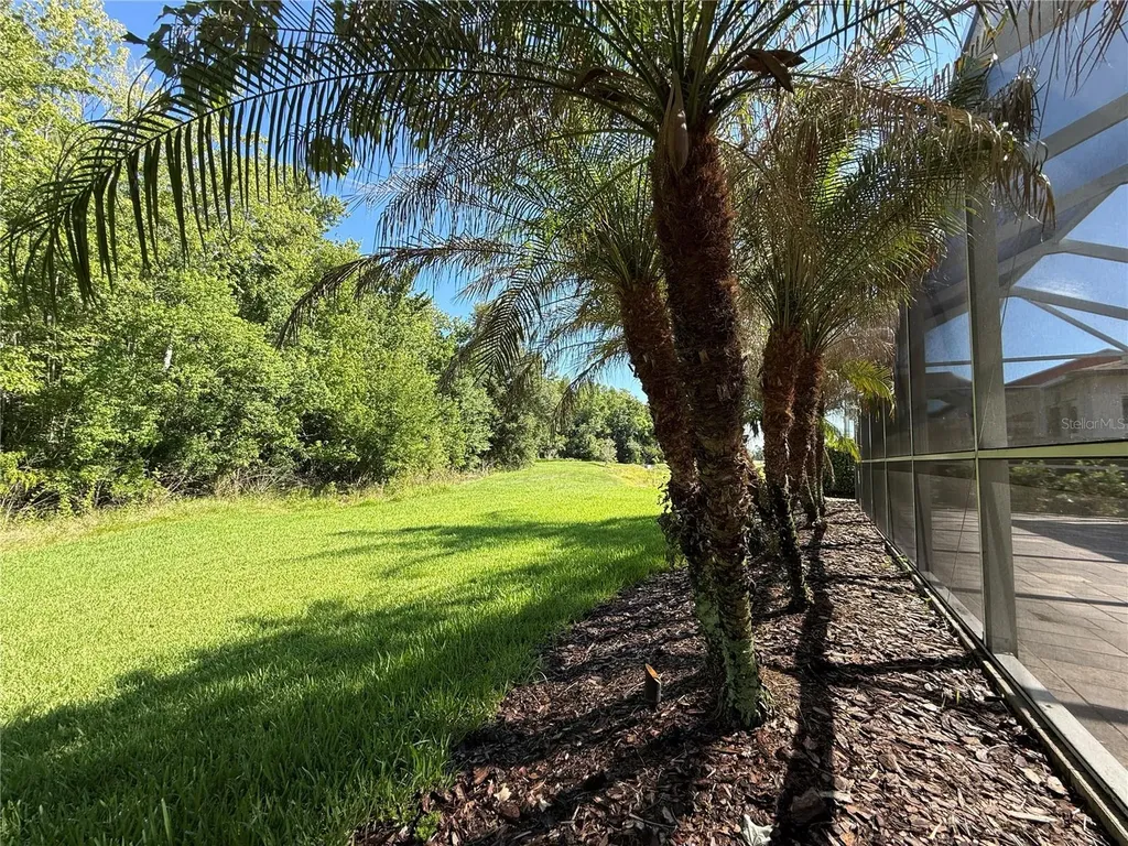4557 Vermillion Sky Drive Wesley Chapel FL 33544