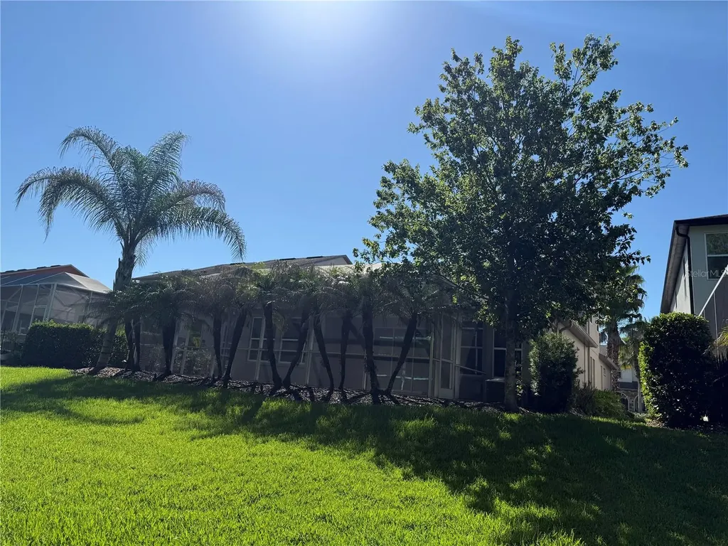 4557 Vermillion Sky Drive Wesley Chapel FL 33544