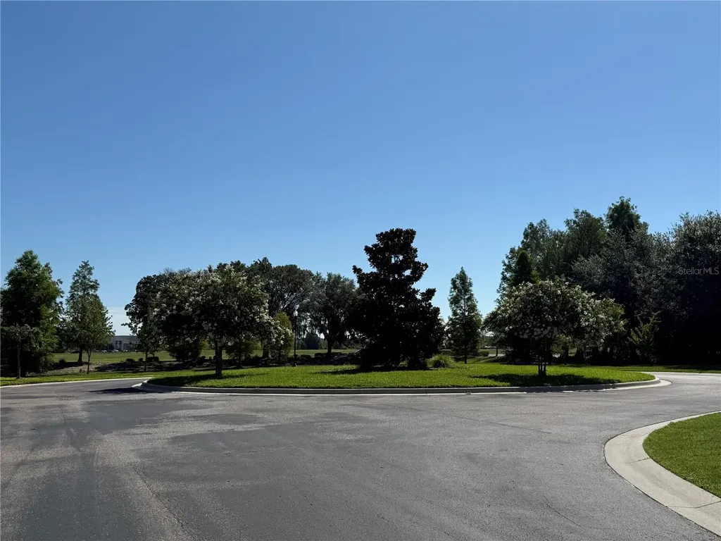 4557 Vermillion Sky Drive Wesley Chapel FL 33544