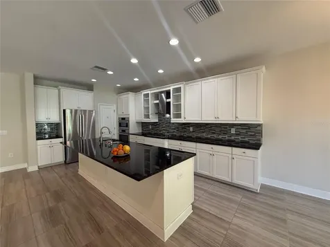 4557 Vermillion Sky Drive Wesley Chapel FL 33544