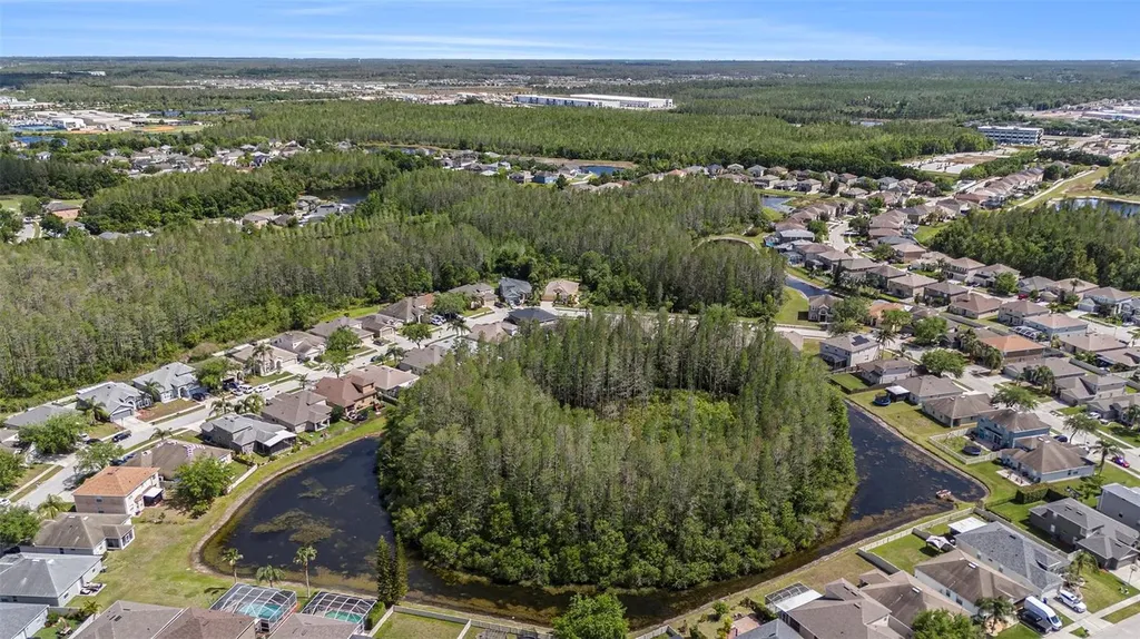 3219 Gianna Way Land O Lakes FL 34638