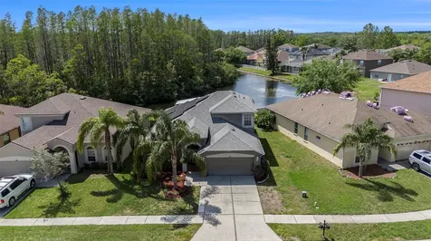 3219 Gianna Way Land O Lakes FL 34638