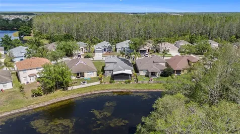 3219 Gianna Way Land O Lakes FL 34638