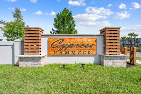 1259 Wispy Cypress Drive Kissimmee FL 34746