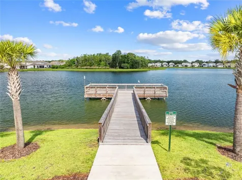 1259 Wispy Cypress Drive Kissimmee FL 34746