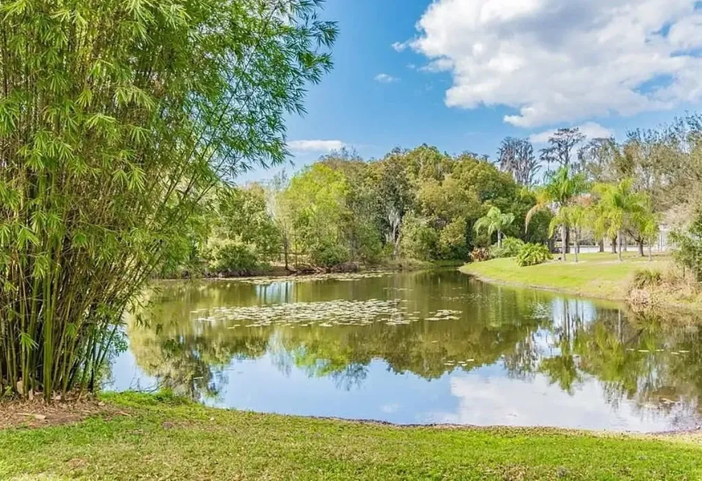 4205 Mast Court Land O Lakes FL 34639