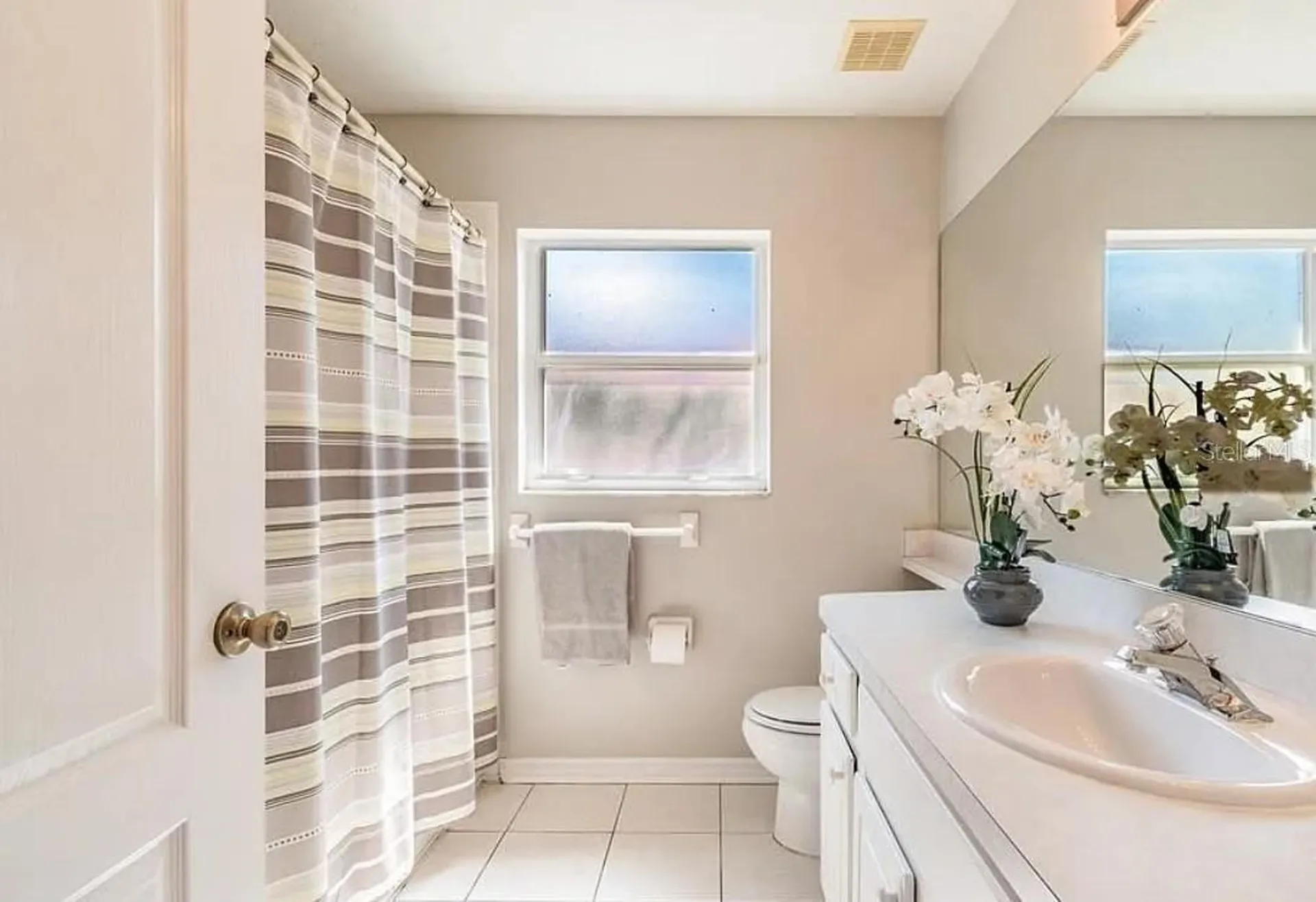 4205 Mast Court Land O Lakes FL 34639