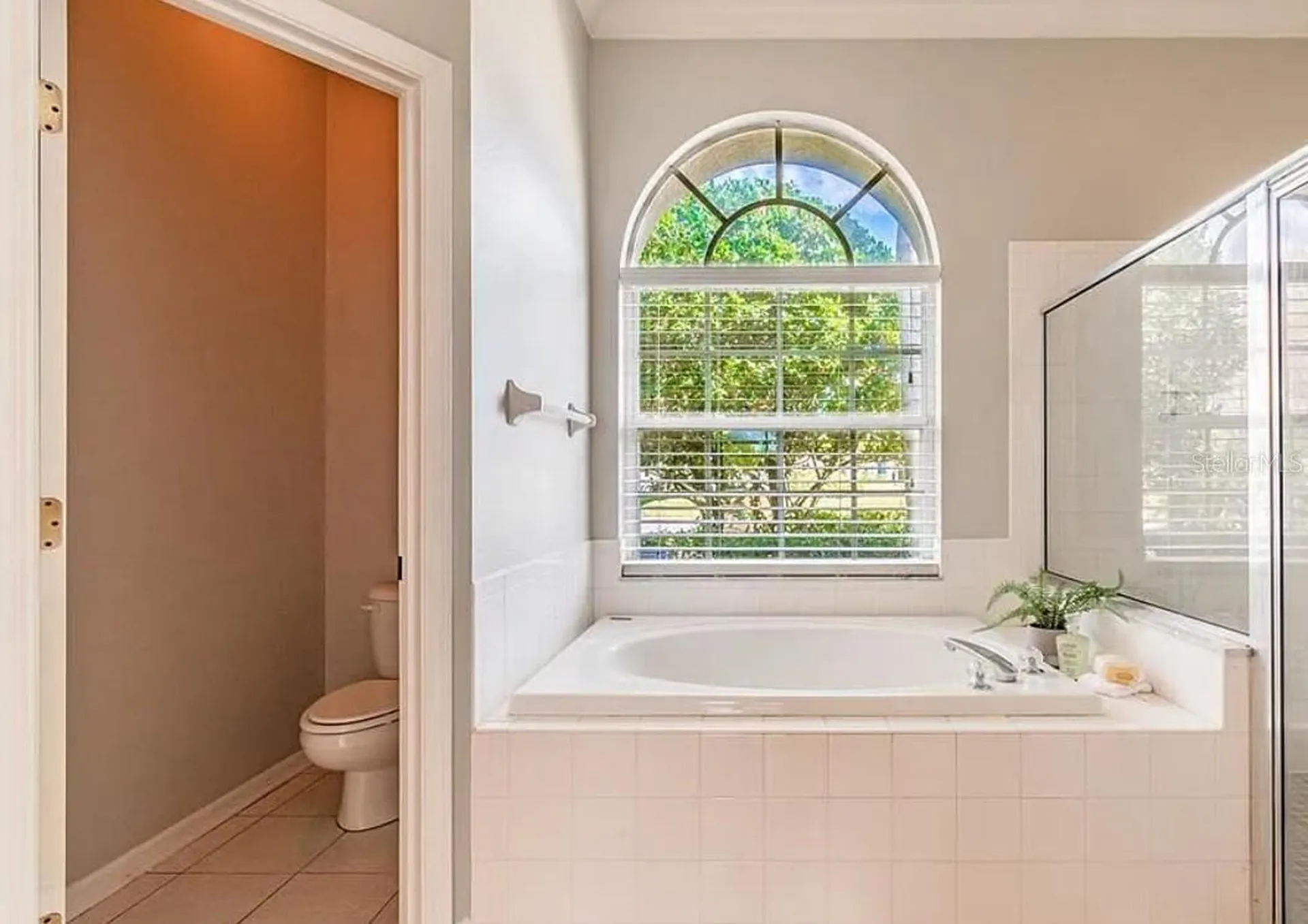 4205 Mast Court Land O Lakes FL 34639