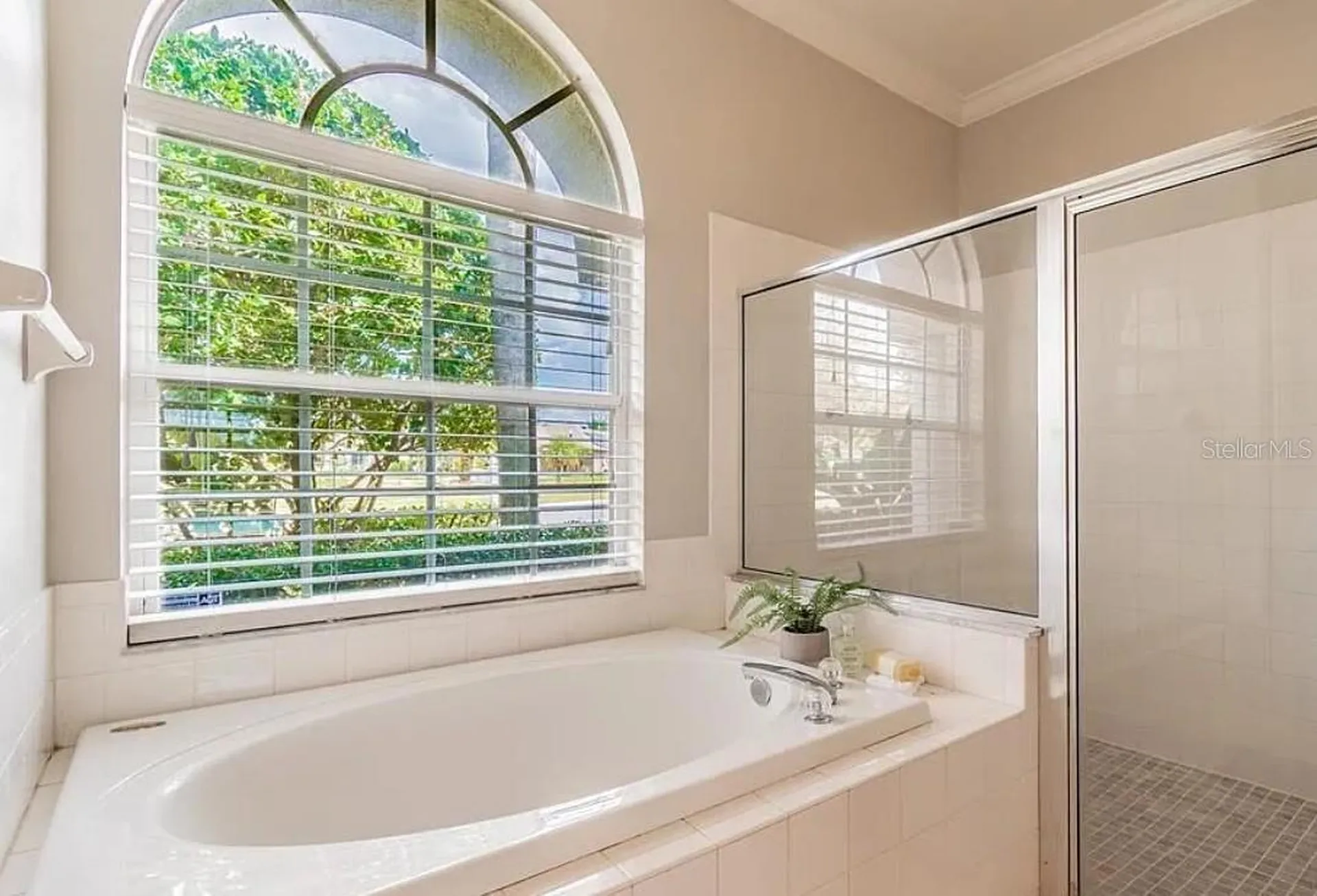 4205 Mast Court Land O Lakes FL 34639