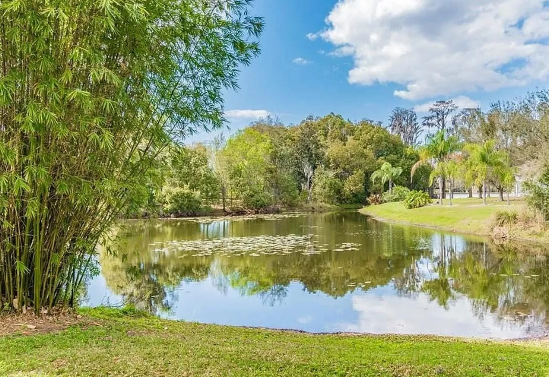 4205 Mast Court Land O Lakes FL 34639
