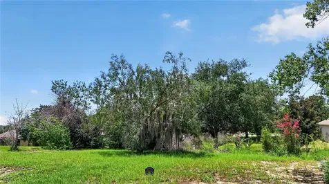 12608 Lake Ridge Circle Clermont FL 34711