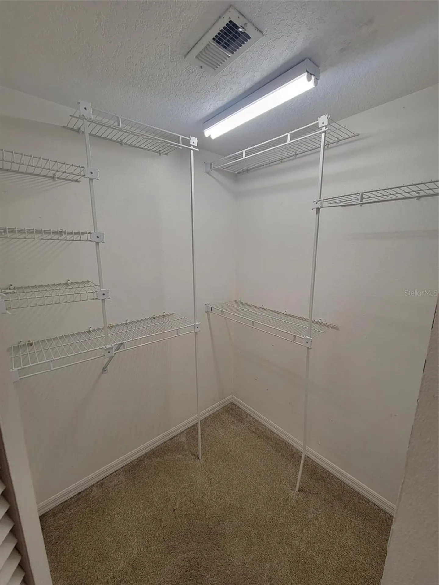 3333 Gray Fox Cove Apopka FL 32703