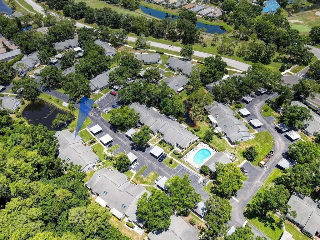 3454 Killdeer Place Palm Harbor FL 34685