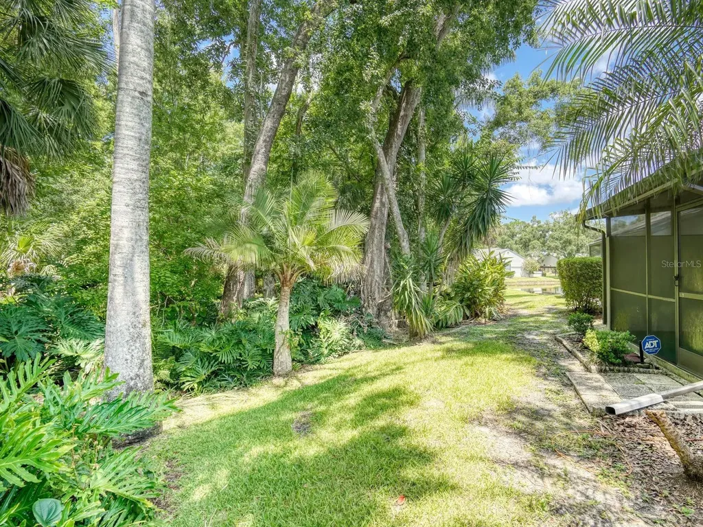 3454 Killdeer Place Palm Harbor FL 34685