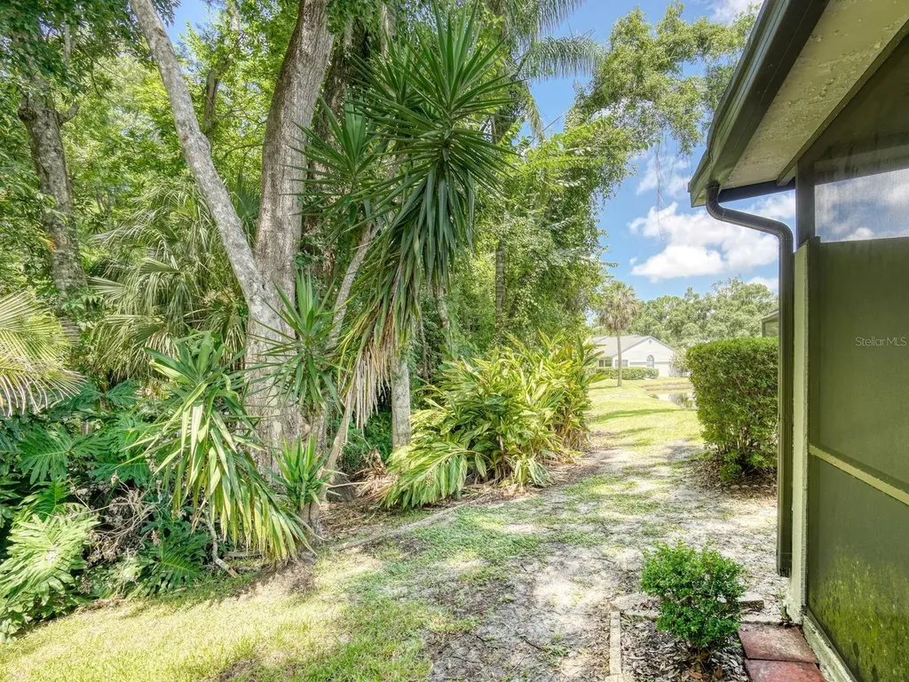3454 Killdeer Place Palm Harbor FL 34685