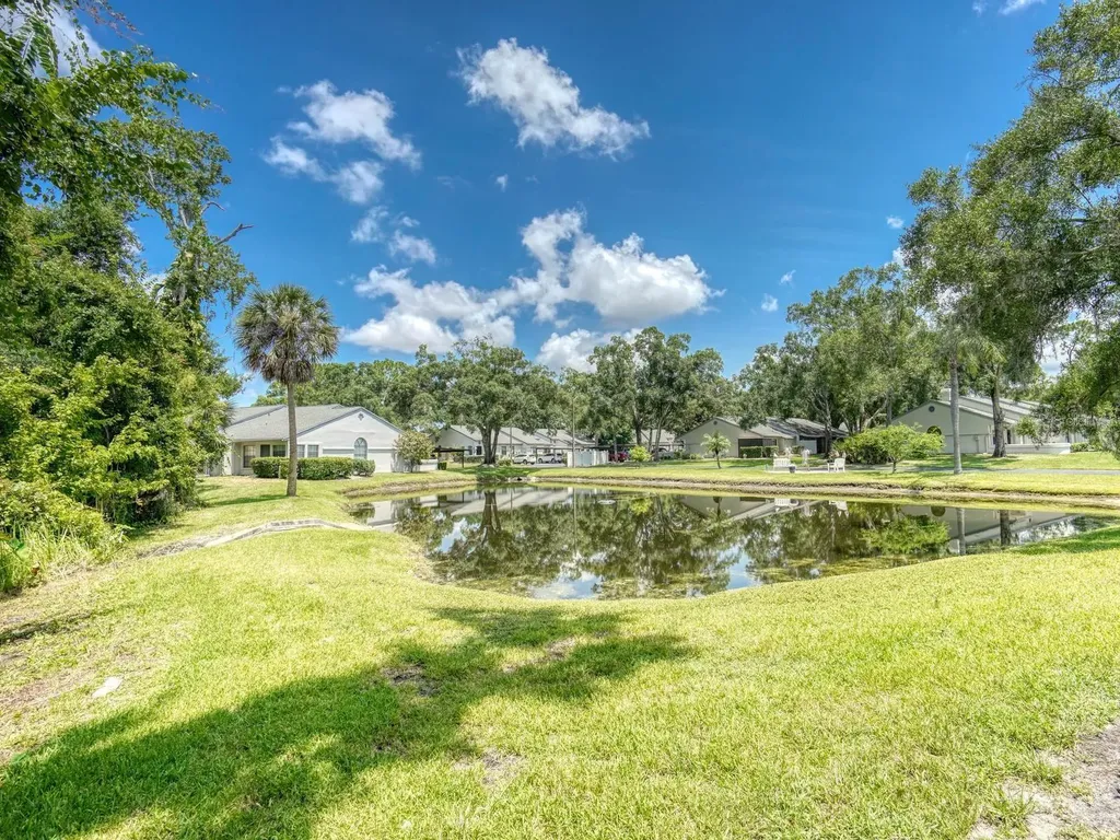 3454 Killdeer Place Palm Harbor FL 34685