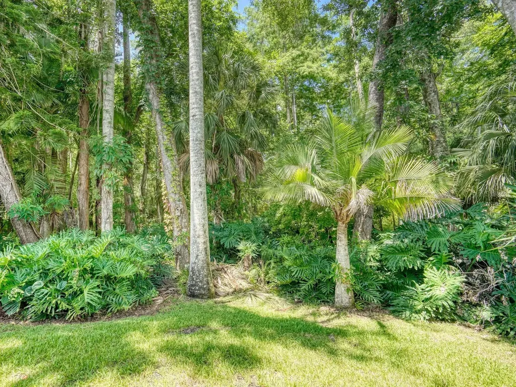 3454 Killdeer Place Palm Harbor FL 34685