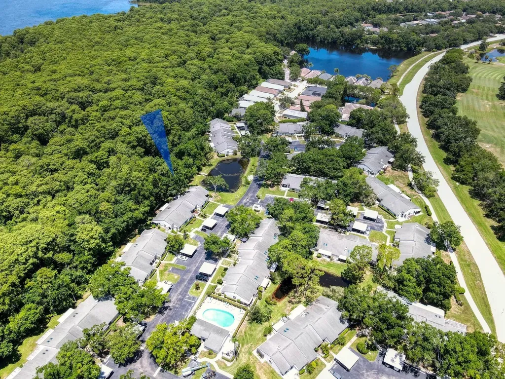 3454 Killdeer Place Palm Harbor FL 34685