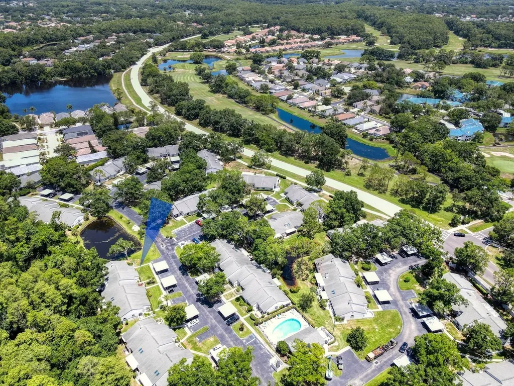 3454 Killdeer Place Palm Harbor FL 34685