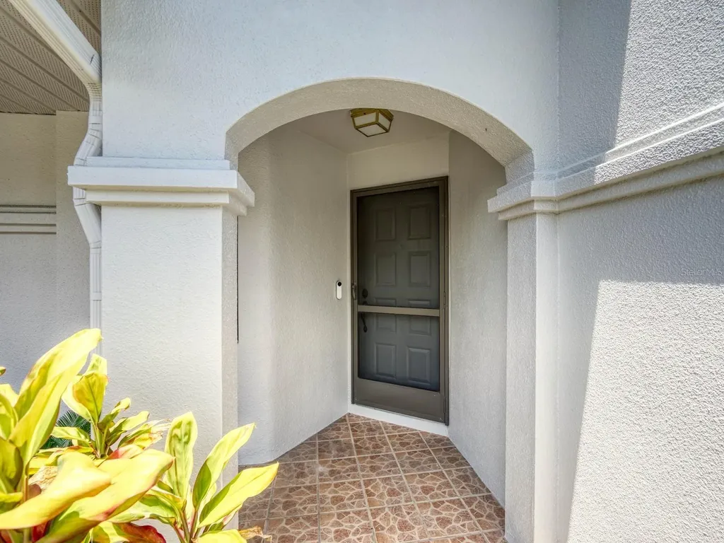 3454 Killdeer Place Palm Harbor FL 34685