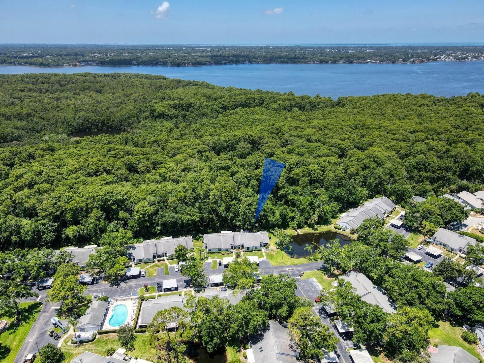 3454 Killdeer Place Palm Harbor FL 34685