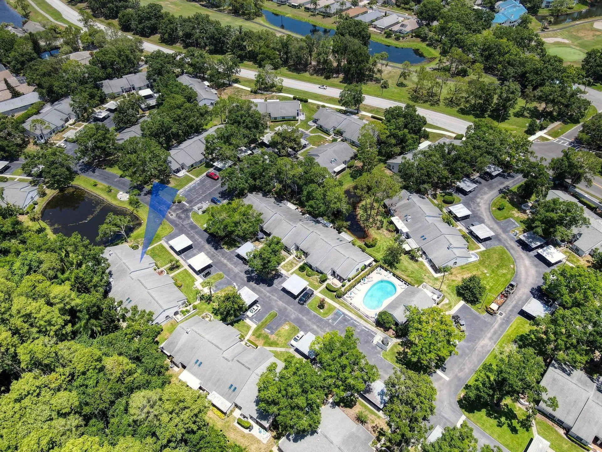 3454 Killdeer Place Palm Harbor FL 34685