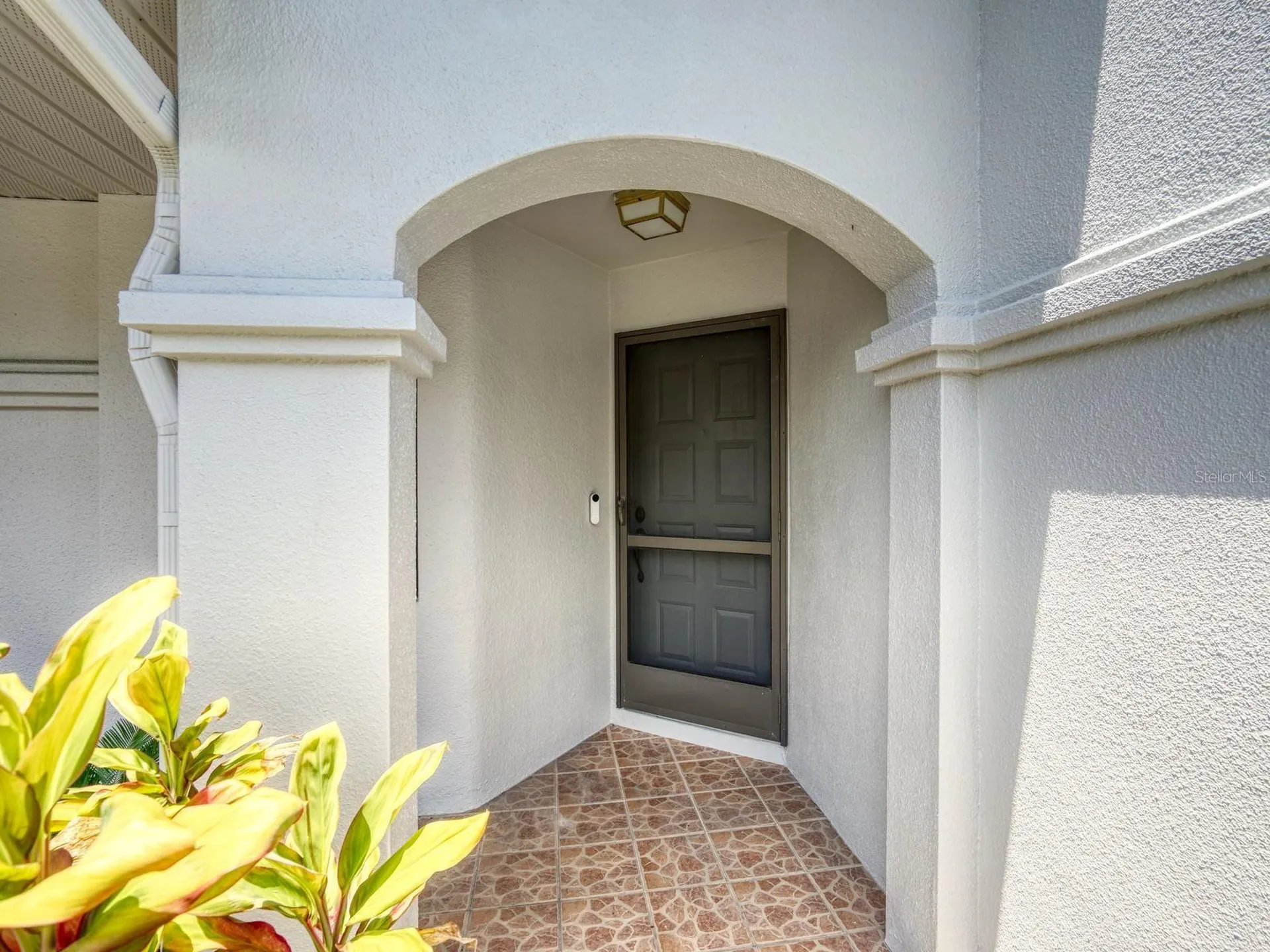 3454 Killdeer Place Palm Harbor FL 34685